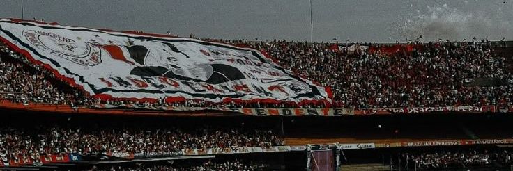 vinibauruu's profile banner image
