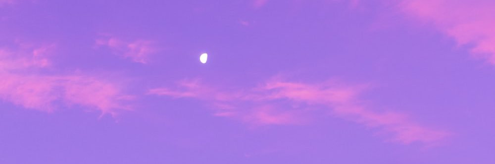 boof🧟‍♂️ banner