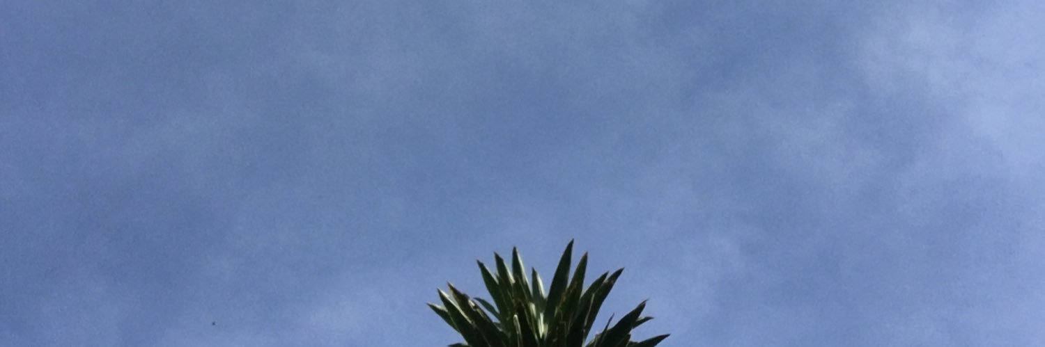 dindie banner