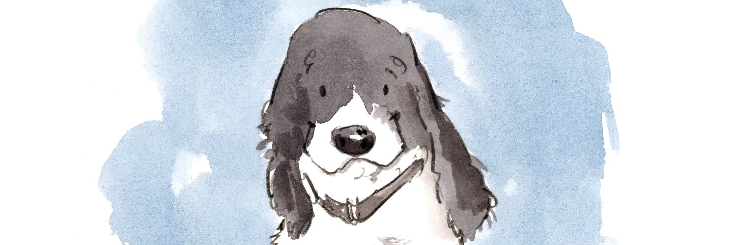 muddywetspaniel's profile banner image