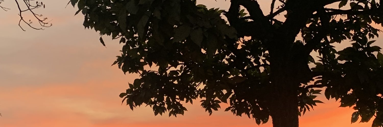 IsabellaRuizL's profile banner image