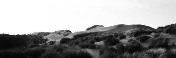 PipMartin9 Profile Banner