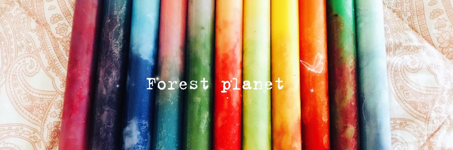 MayForest0502's profile banner image