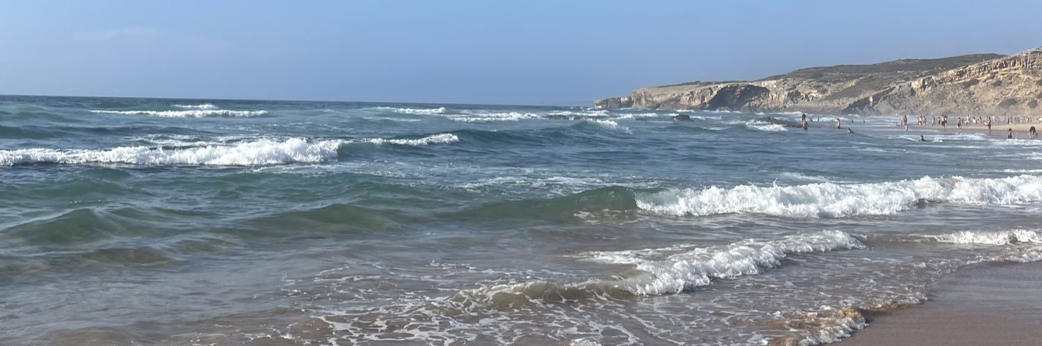 Filipa Santos banner