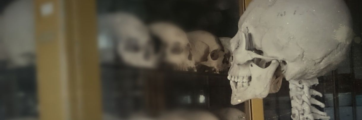 ile_mic's profile banner image