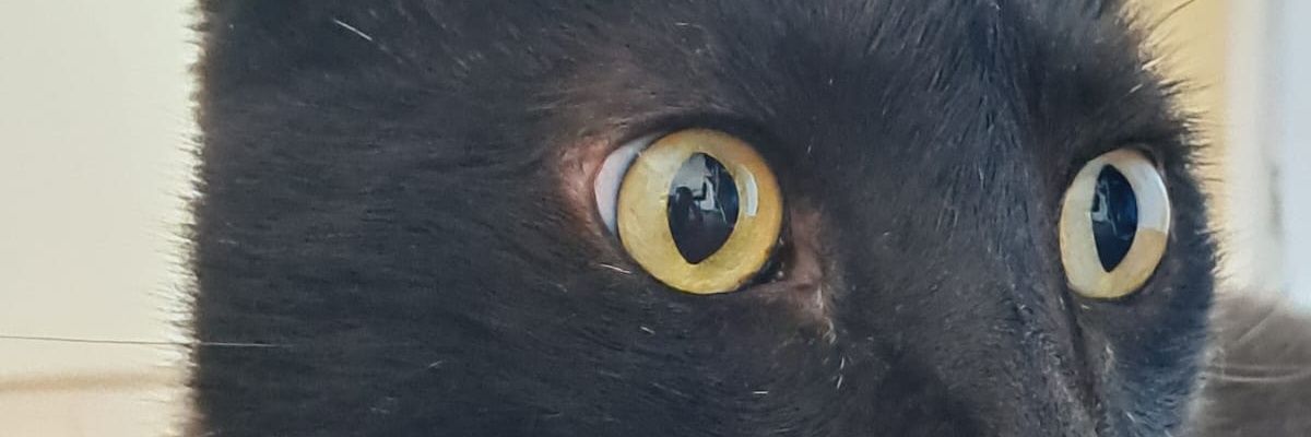 _poxathati_'s profile banner image