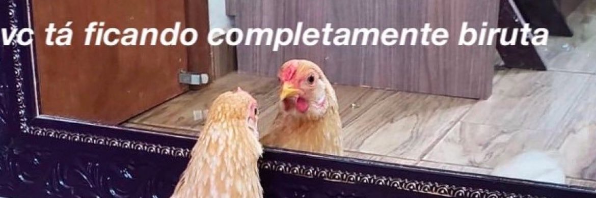 Luccas Martins banner