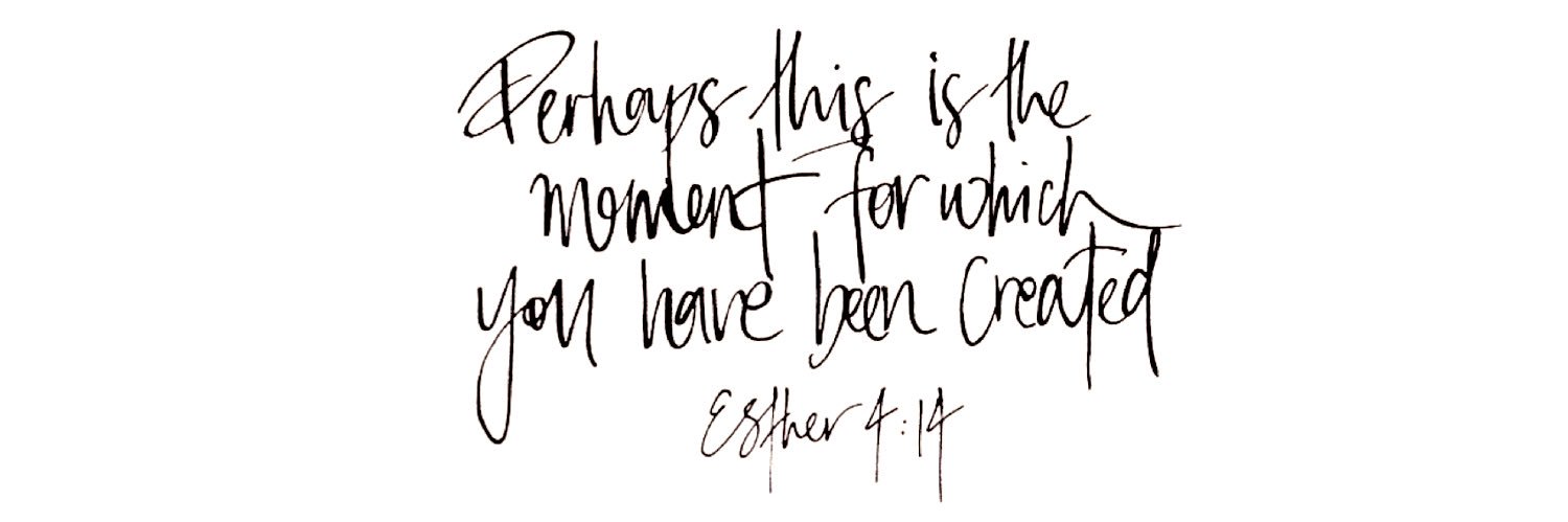 Callie Meinel banner