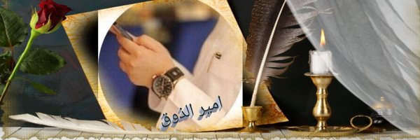shm____1 Profile Banner