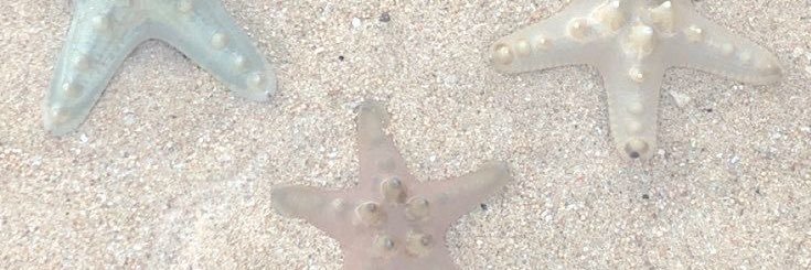fleur banner