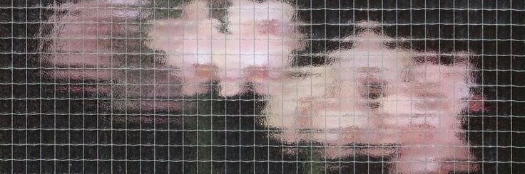 flavenderx's profile banner image