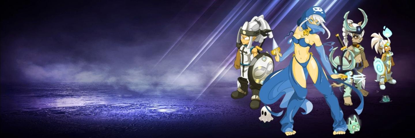 DofuSkin banner