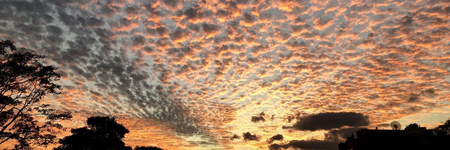 Herminia Torres banner