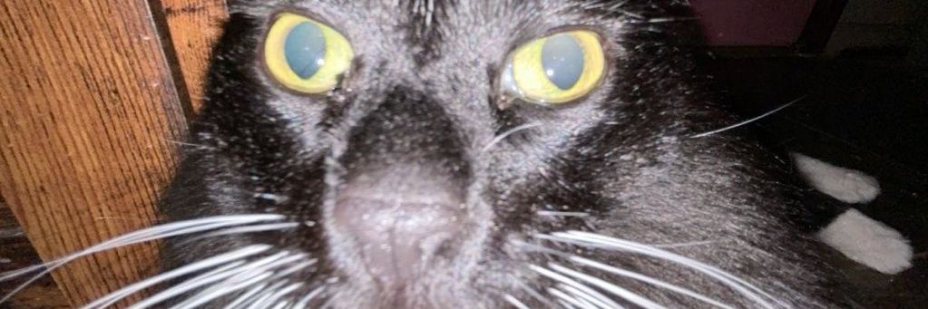 JSno0p's profile banner image