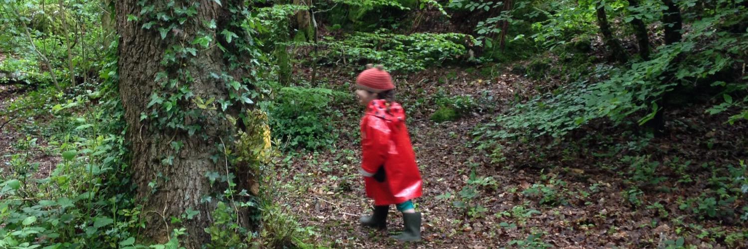 Meleri Davies banner