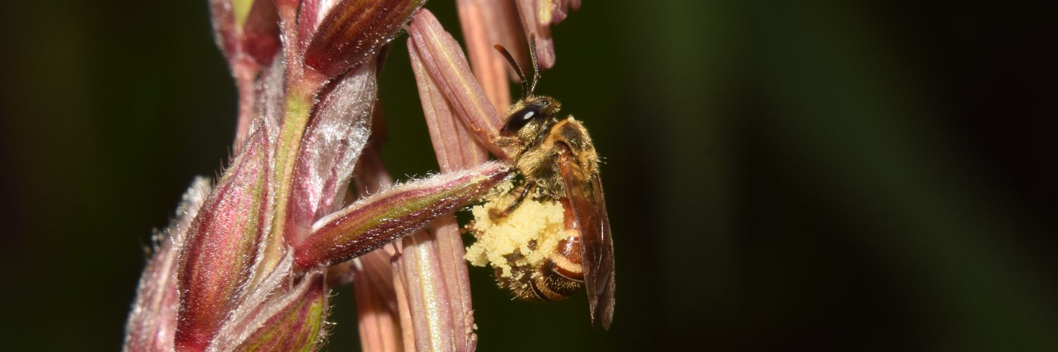 Dipankar Borah banner