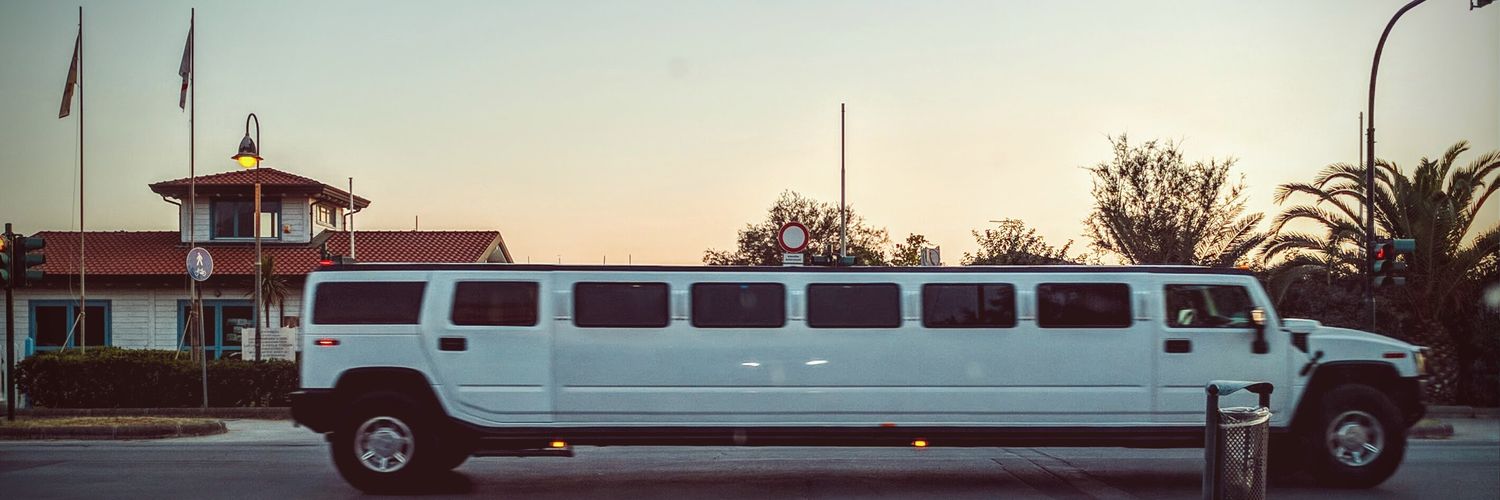 Amilcare Dal Pino banner