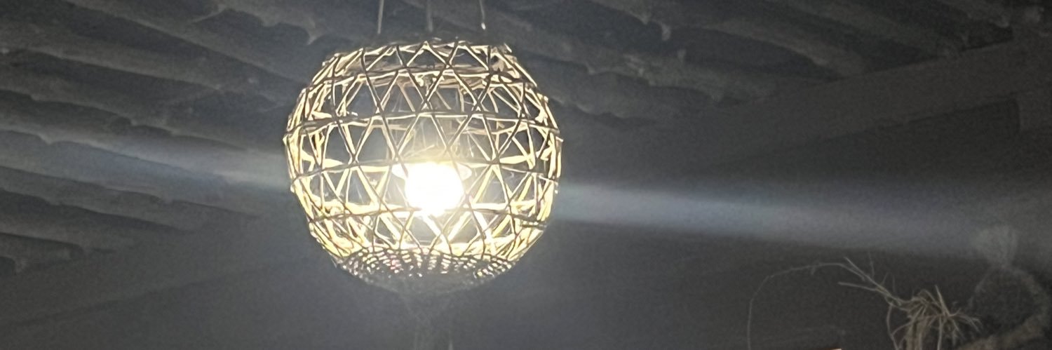 s🅰️lsu banner