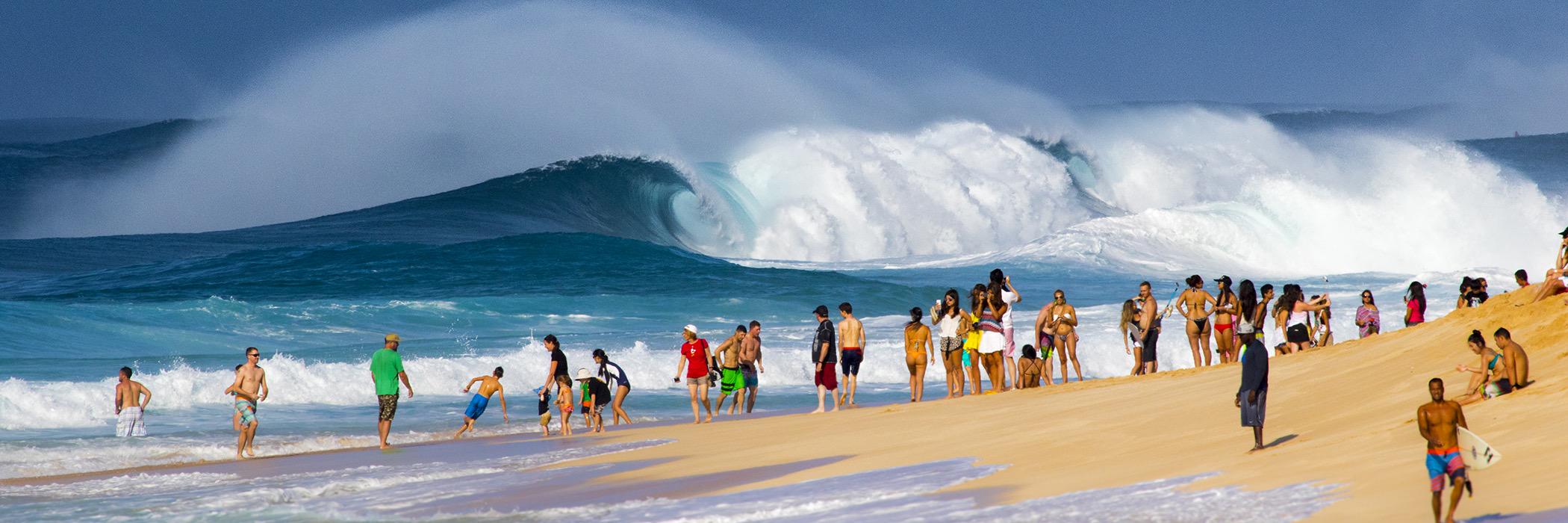 Freesurf Magazine banner