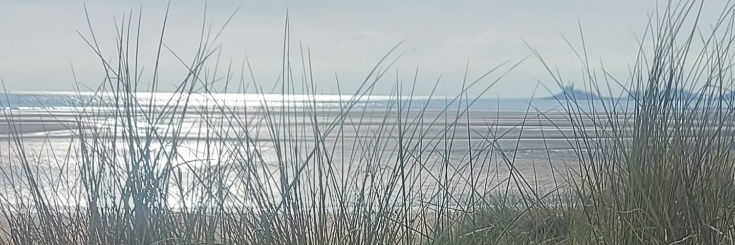 chris peregrine banner