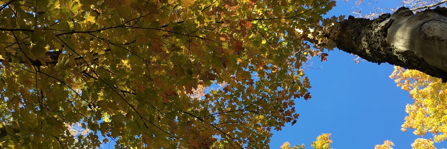cnnrhurson's profile banner image