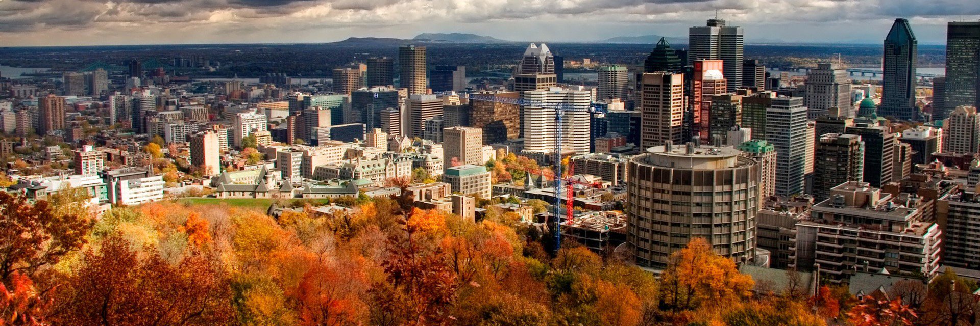 Antoinecook's banner