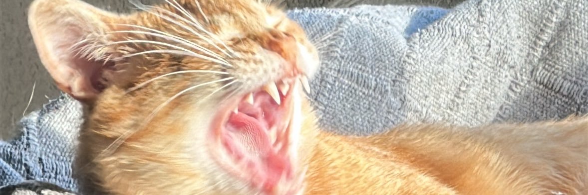 Mario_nevermind's profile banner image