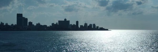 griseluna00 Profile Banner