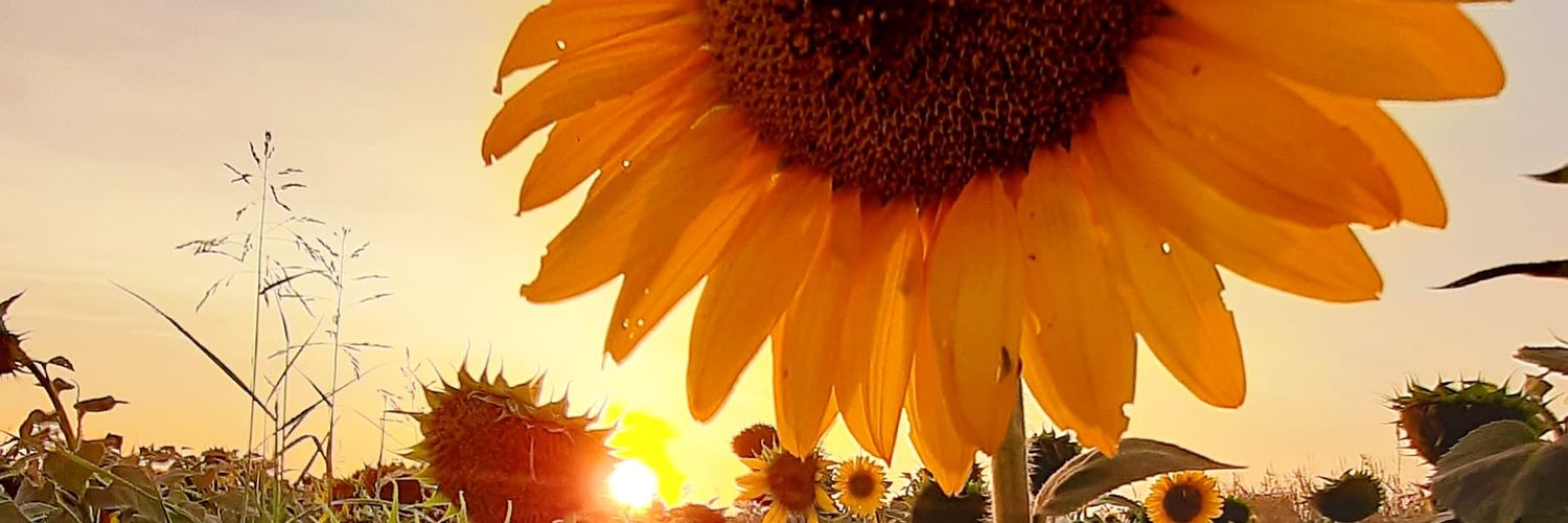 teeefhrg's profile banner image