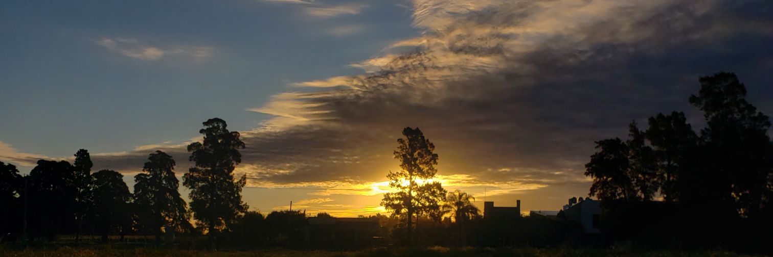 EmiEngel1's profile banner image