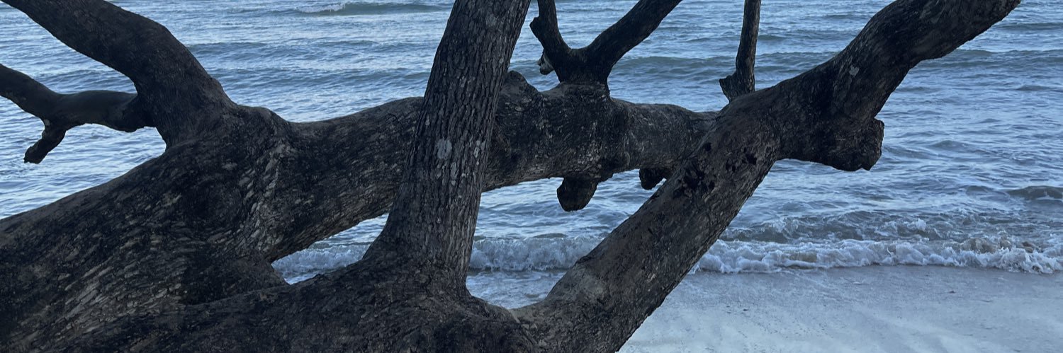 urpupleheartsgf's profile banner image