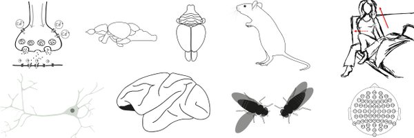 NeuroPaperBot Profile Banner