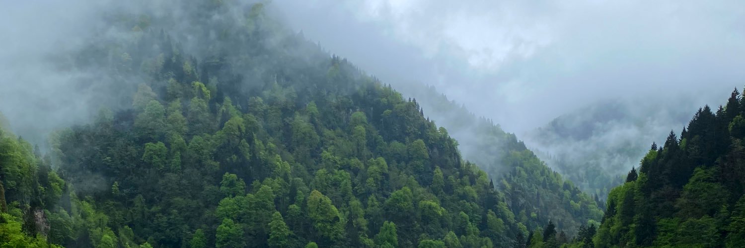 ünzile 🇵🇸 banner