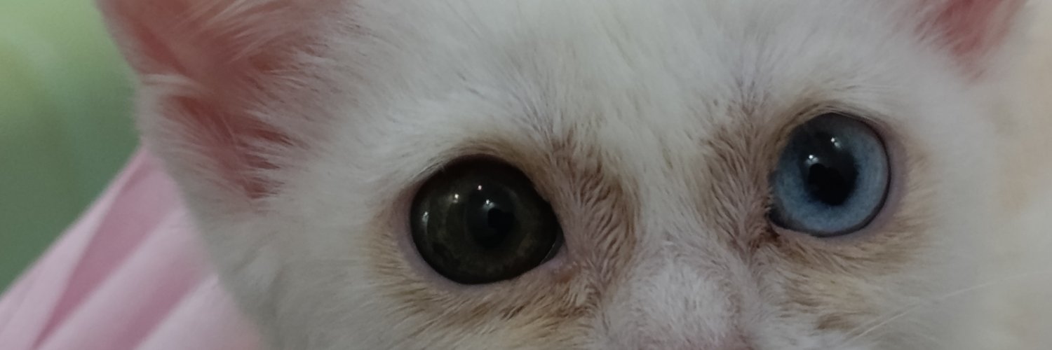 spvo7_'s profile banner image