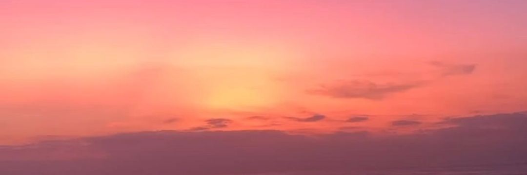 vedarara's profile banner image
