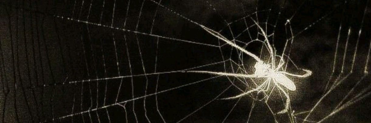 felipeviniciusw's profile banner image