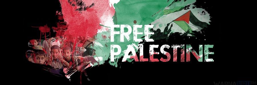 Talha Mohamed banner