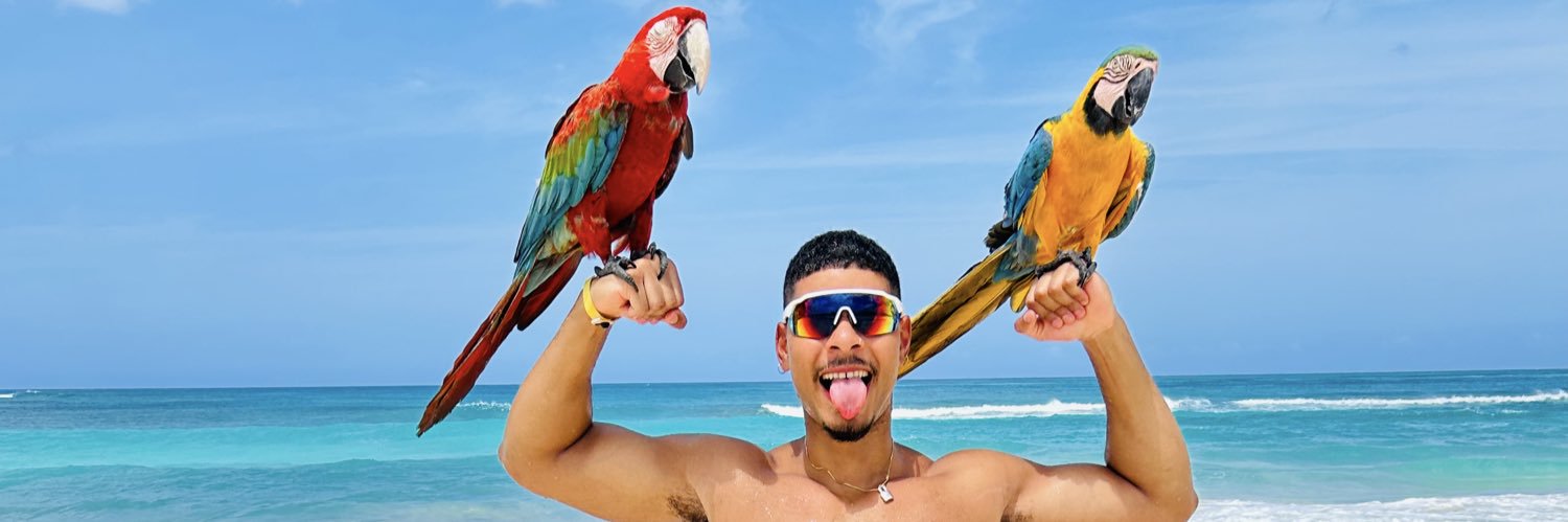 🦂David's banner