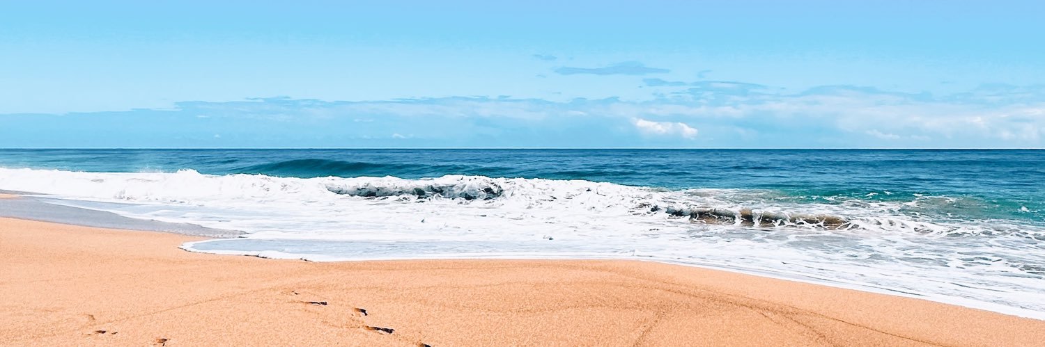 Nathalie Miño banner