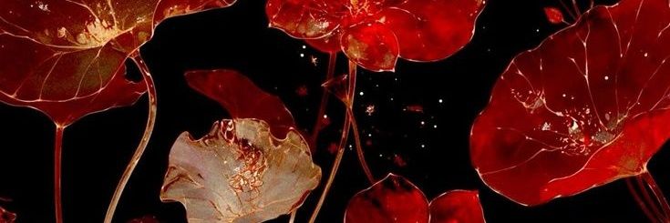 amormandou's profile banner image