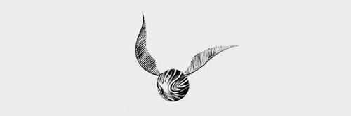 seekerkrumv's profile banner image