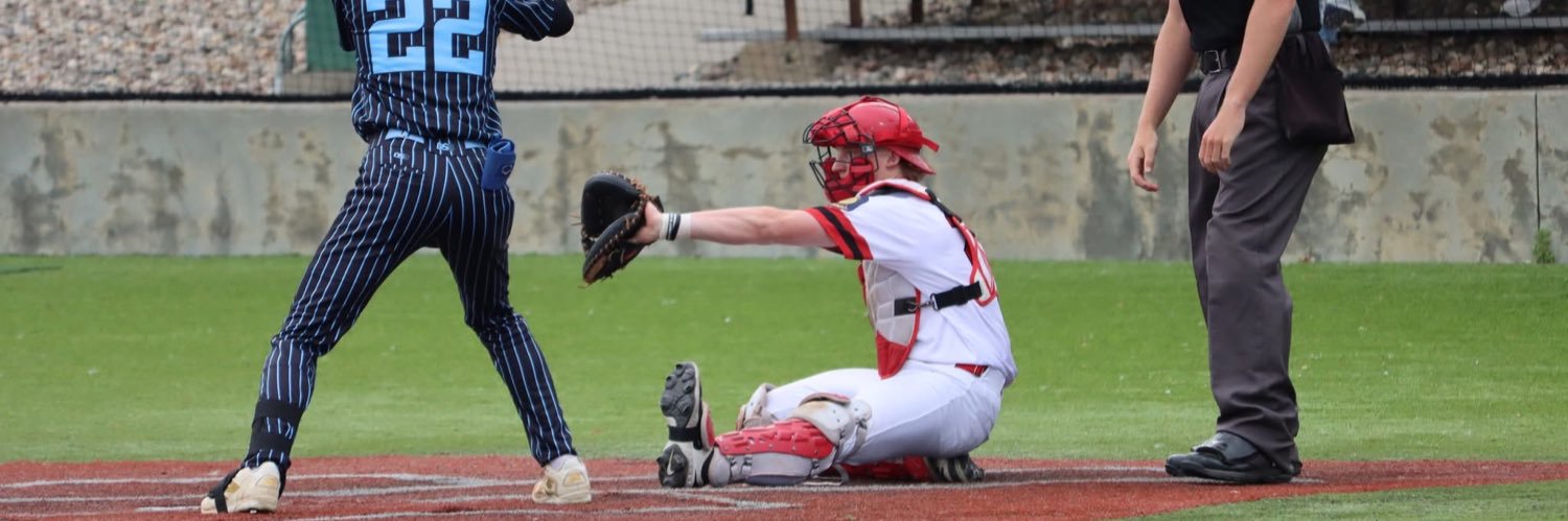 Gavin Johnson banner