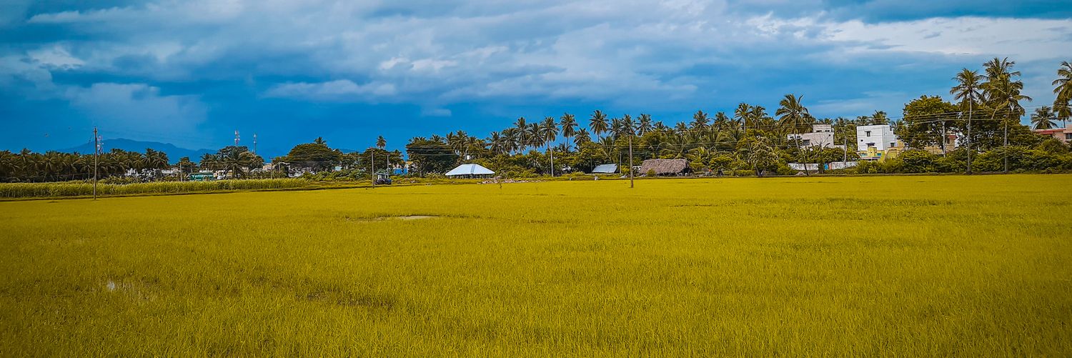 erottukaran's profile banner image