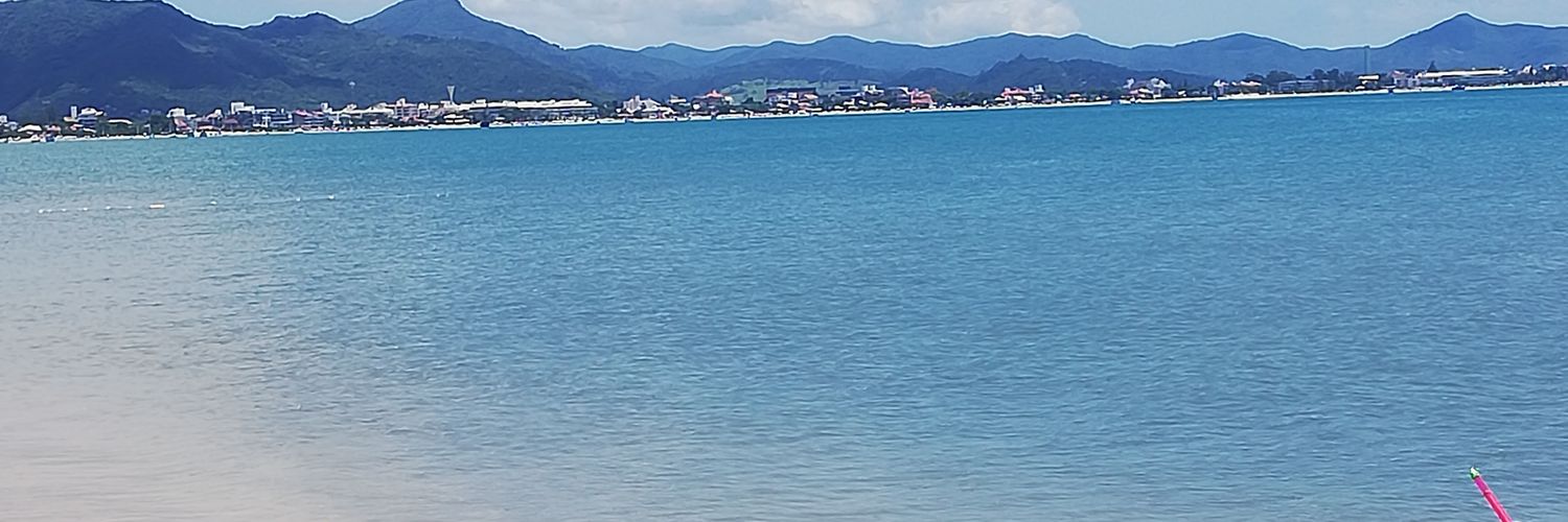 ritasalinas_'s profile banner image