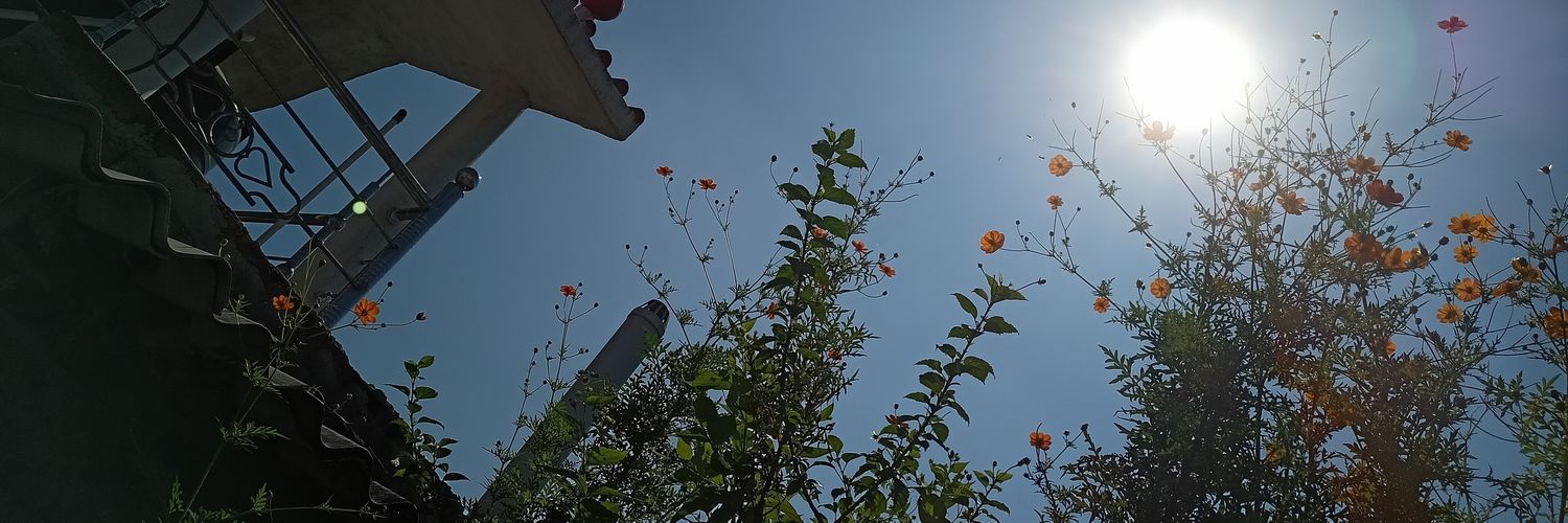 AnkitAkhil1's profile banner image