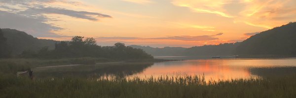 FieAdolfsen Profile Banner