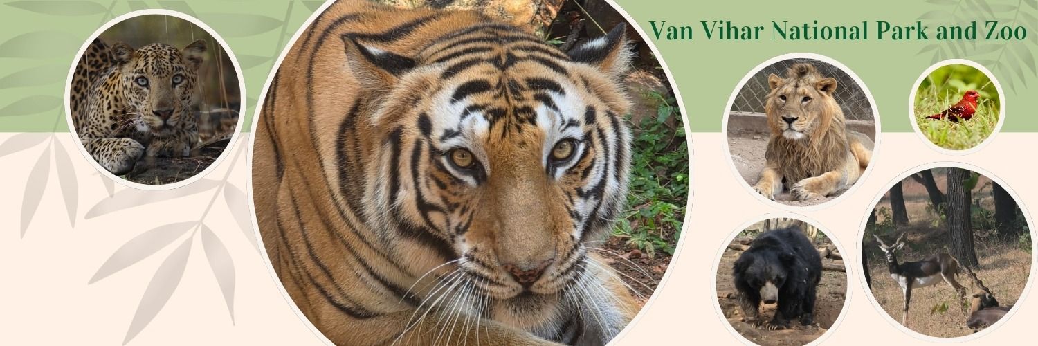 Van Vihar National Park banner