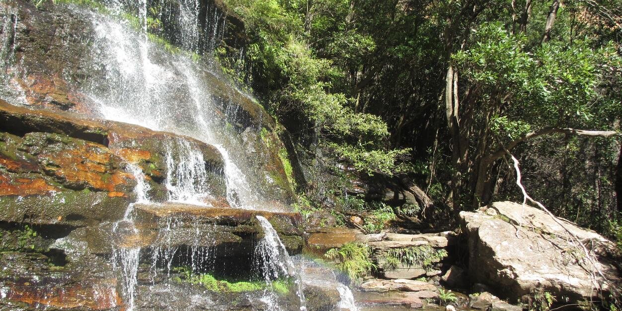 LawrenceHaywood banner