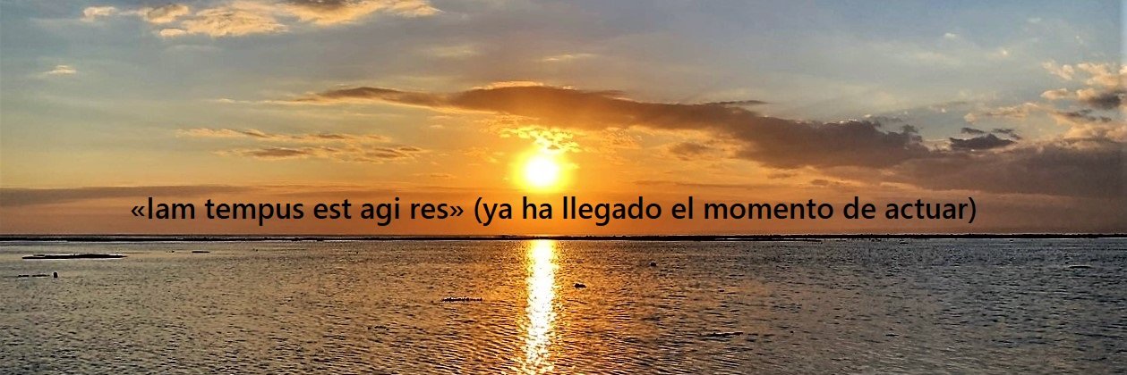 Francisco M. Ortega banner