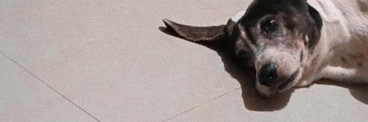 aaaarianna_'s profile banner image